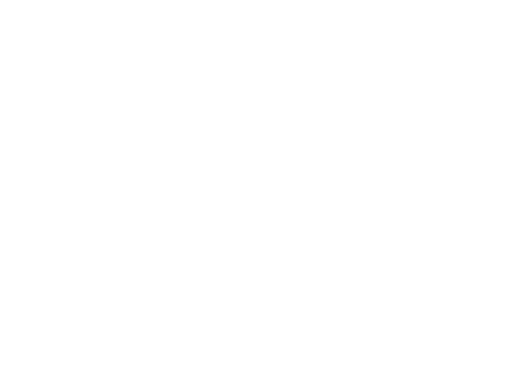 Logotyp för Nordic 4x4 Solutions med texten N4X.